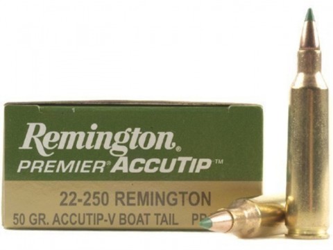 22-250 Rem Remington Accutip/50gr